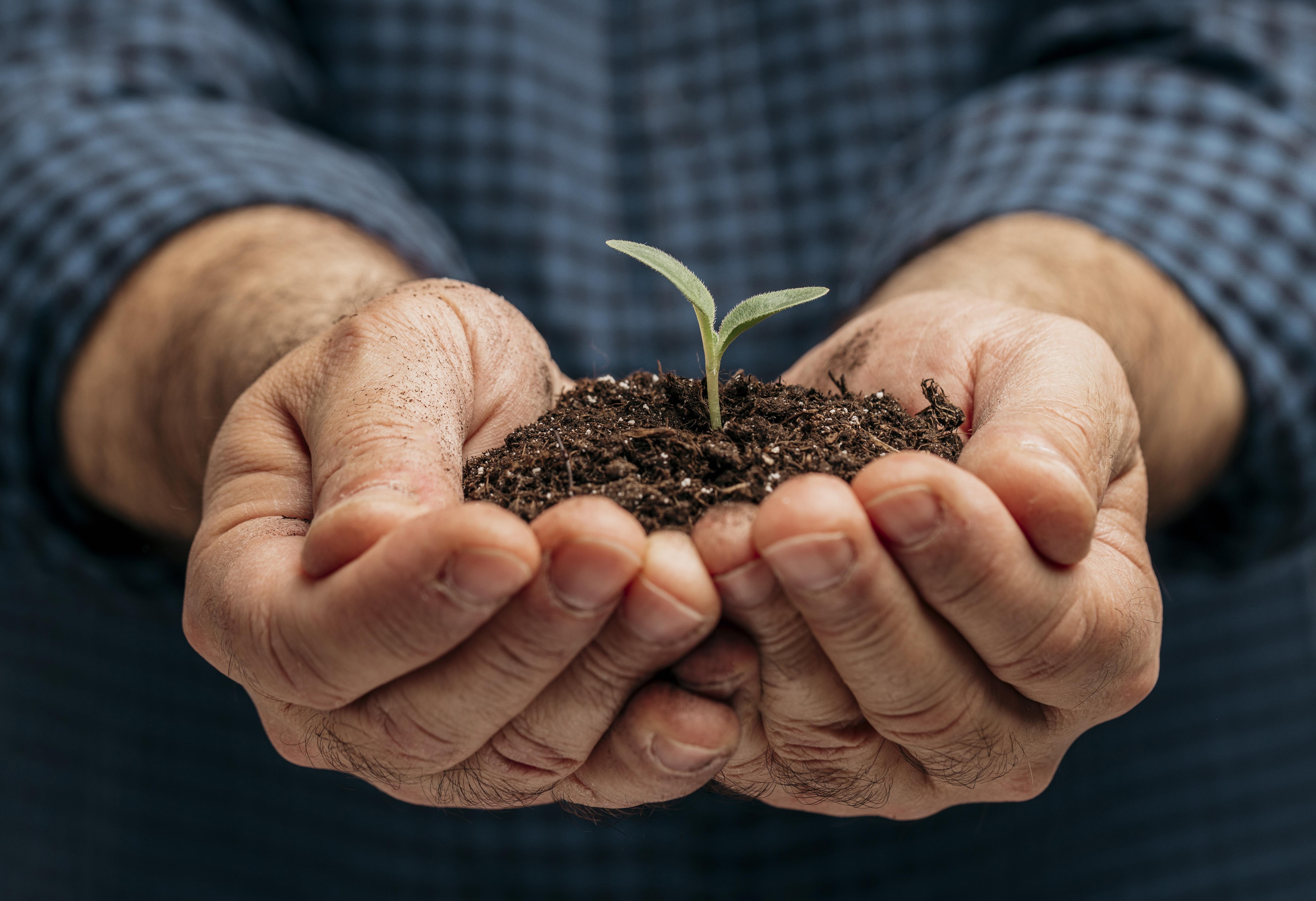 front view male hands holding soil little plant
