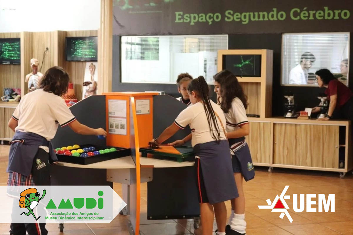 mudi segundo cerebro