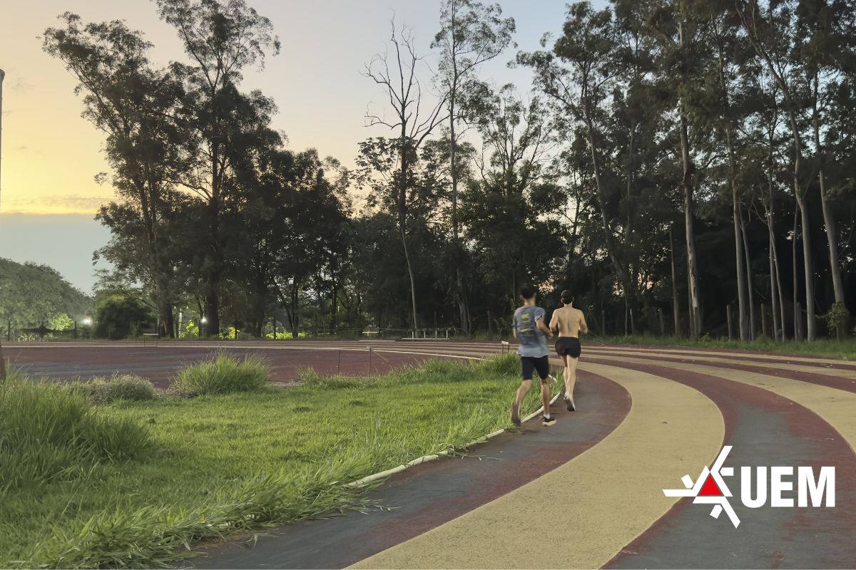 PADRAO FOTOS SITE ASC 28