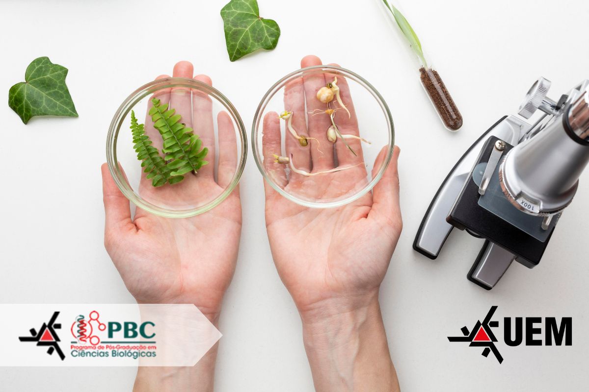 PADRAO FOTOS SITE ASC 4.jpg