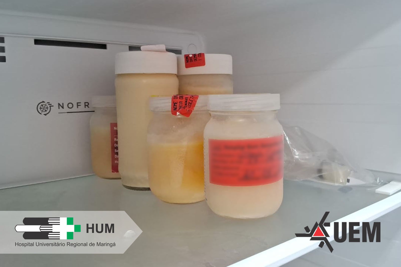 WhatsApp Image 2026 01 26 at 14.38.28