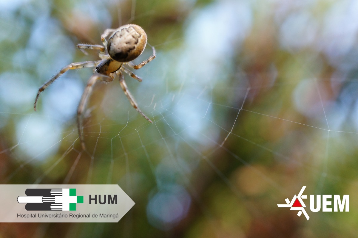 WhatsApp Image 2026 04 06 at 16.01.34