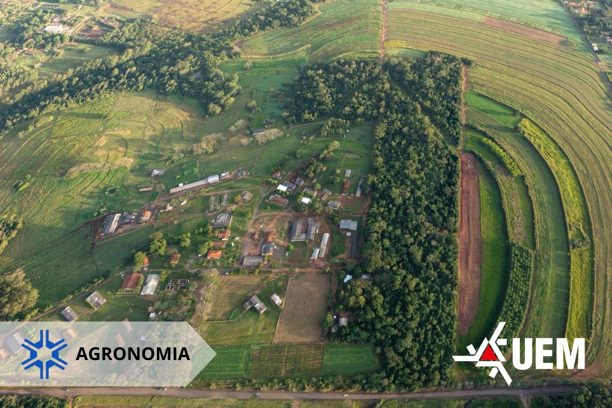 WhatsApp Image 2026 04 15 at 14.07.21