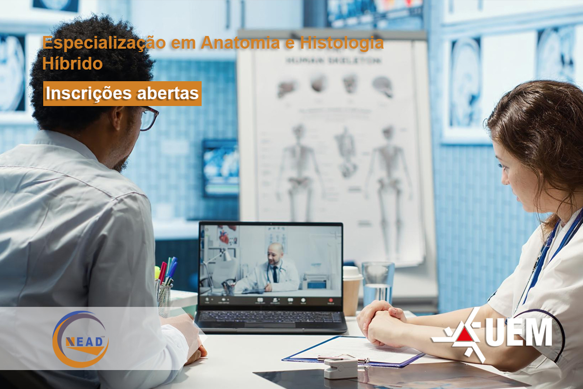 nead anatomia copy.jpg