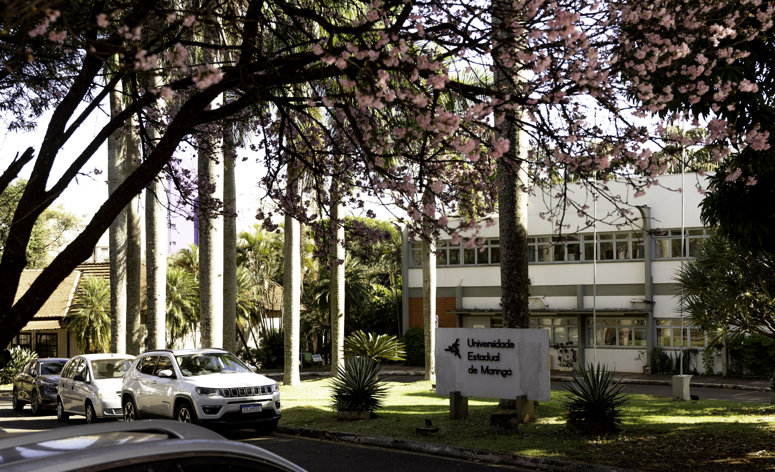 2023 07 14 Fachada Cerejeira 7623