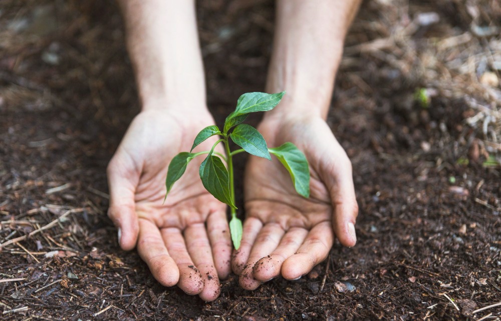 Agroecologia