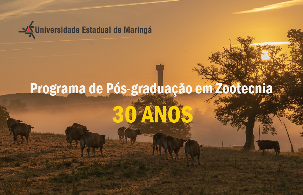 PPZ 30 anos