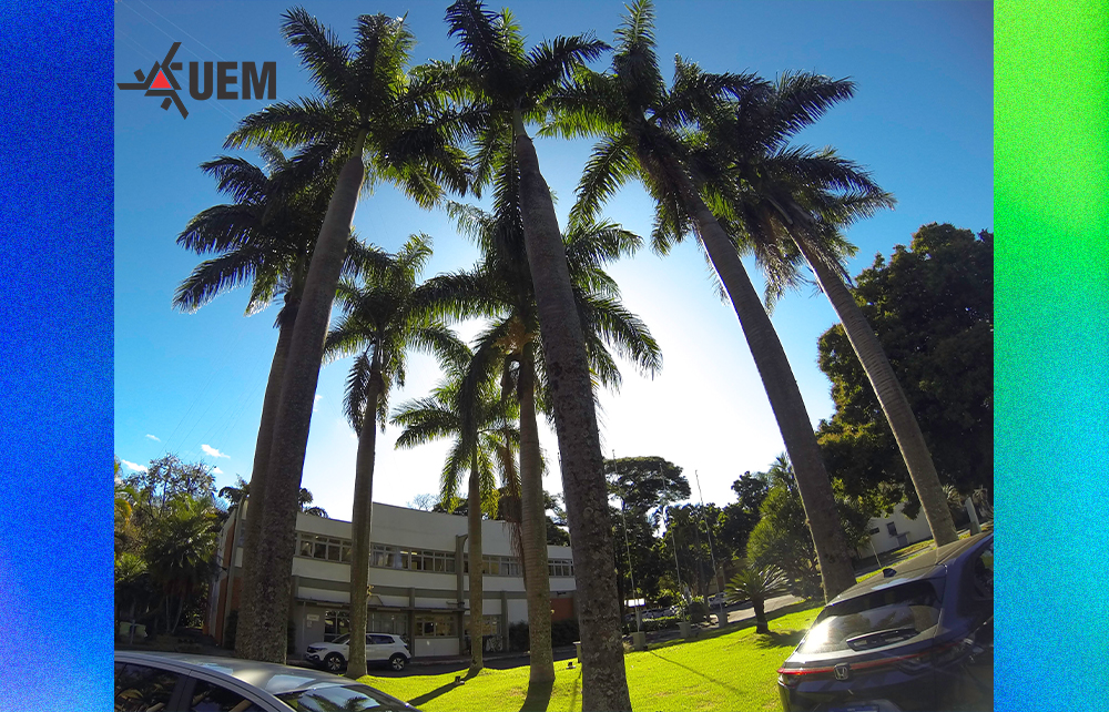 Primeiro mestrado fora da UEM