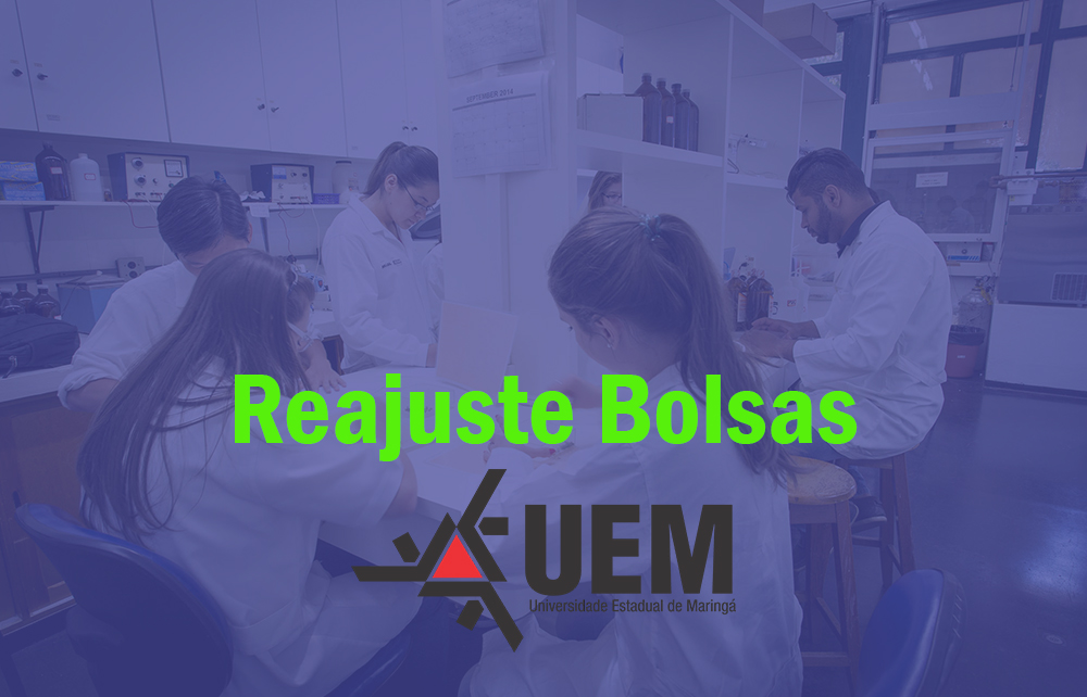 Reajuste Bolsas
