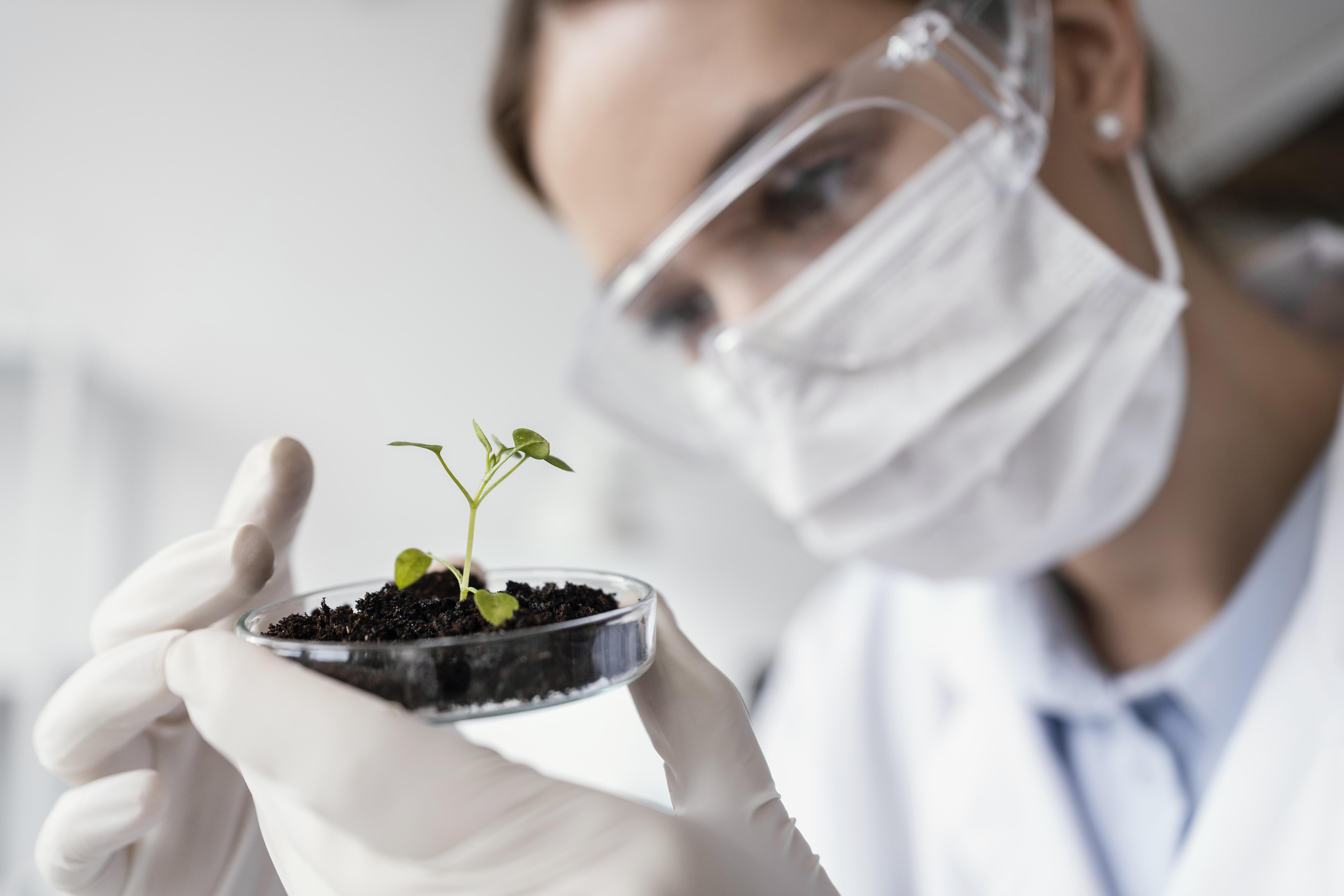 close up cientista com planta