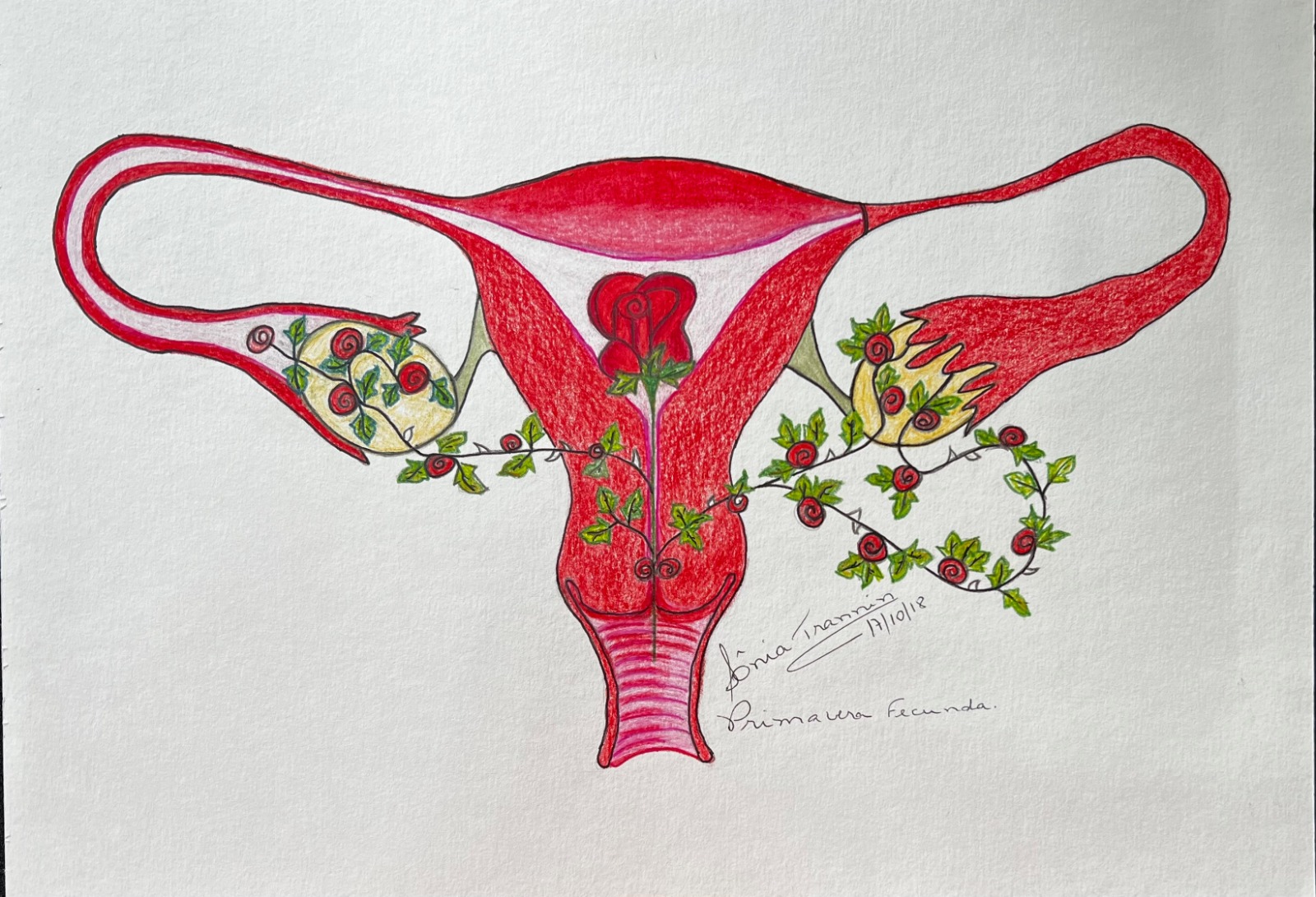 dia da nulher utero