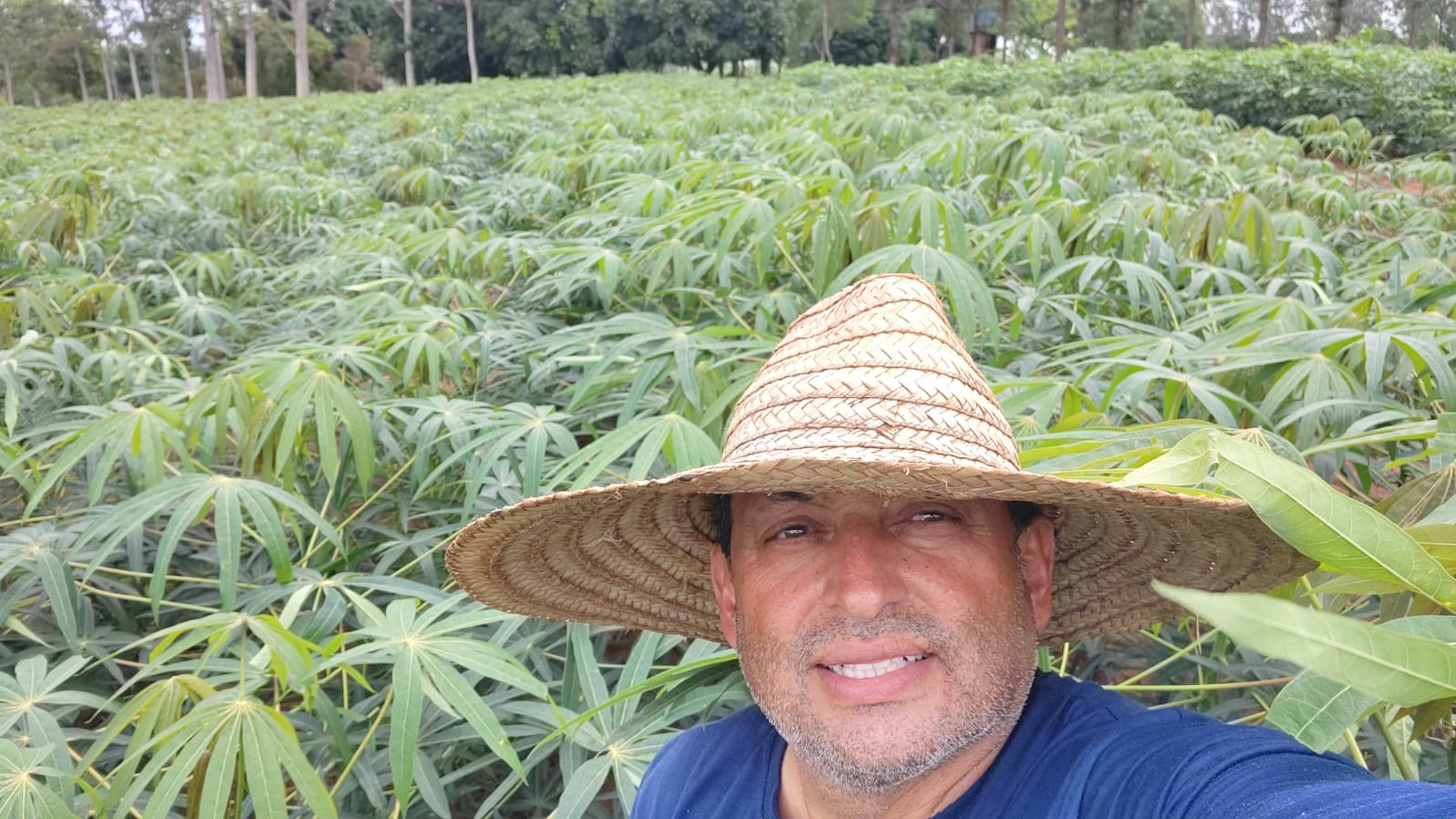 mandioca produtor Ailton Francisco da Costa