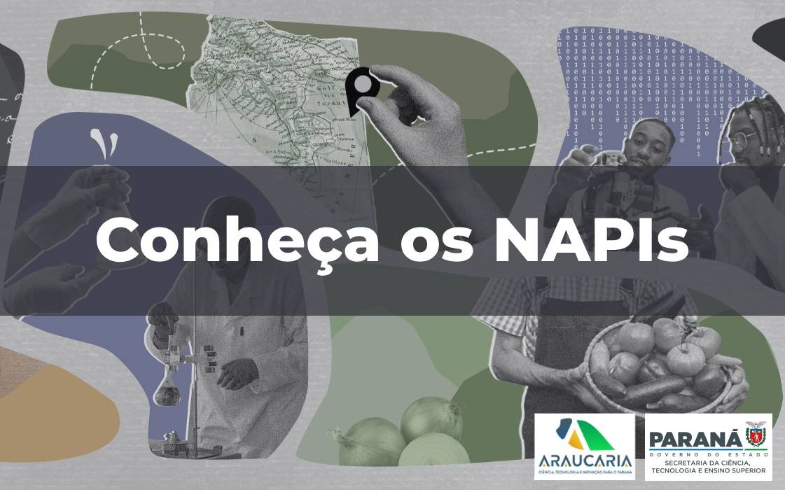 LANÇAMENTO SITES NAPI