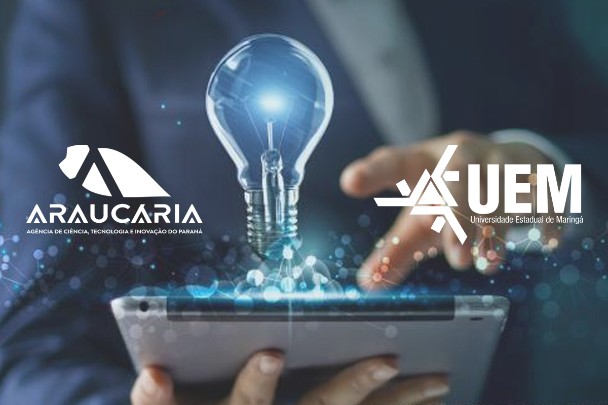 fundação araucaria