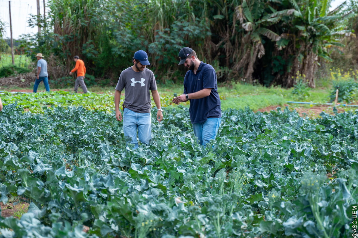 2023 Fazenda Umuarama 14549 1