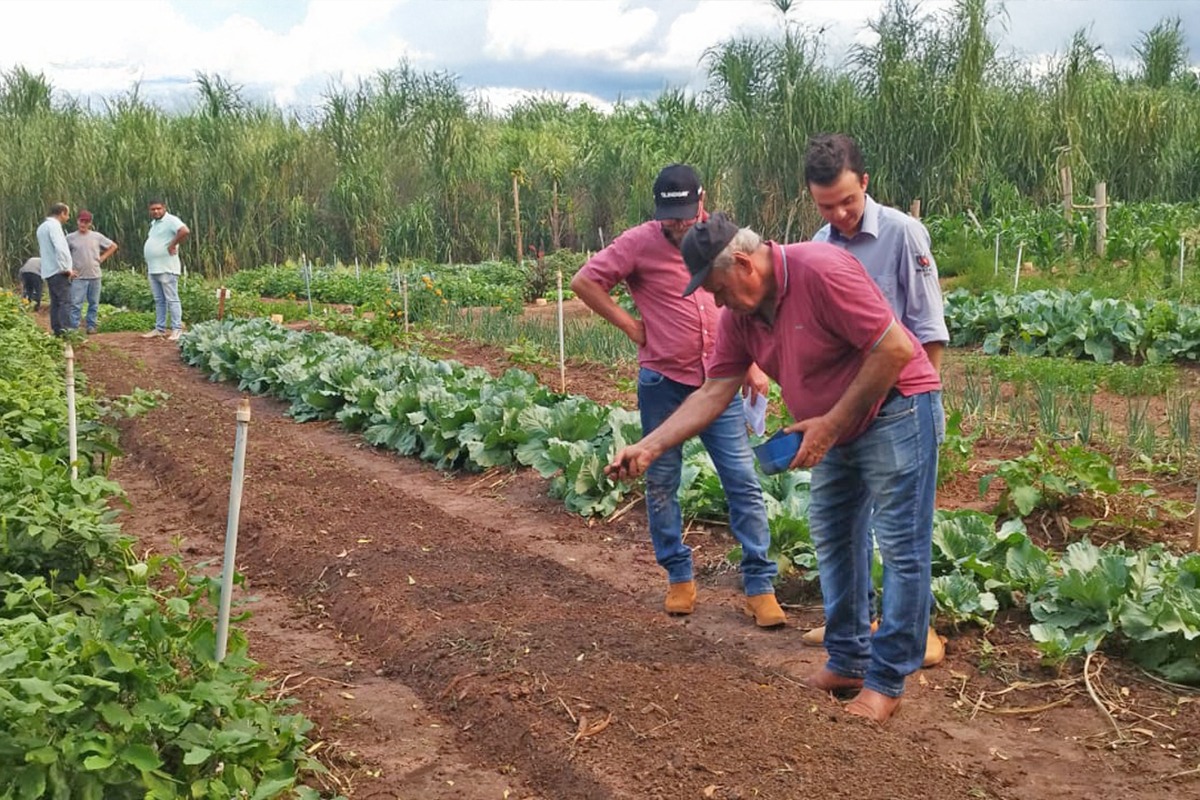 Colégio Agrícola Umuarama UEM