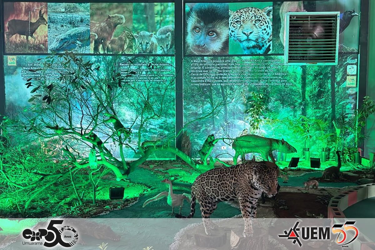 Mudi Mata Atlântica