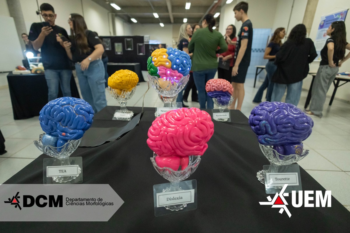 capa neuroverso