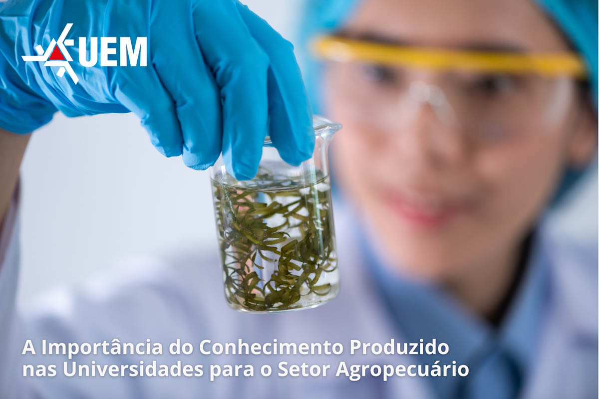 evento uem agro