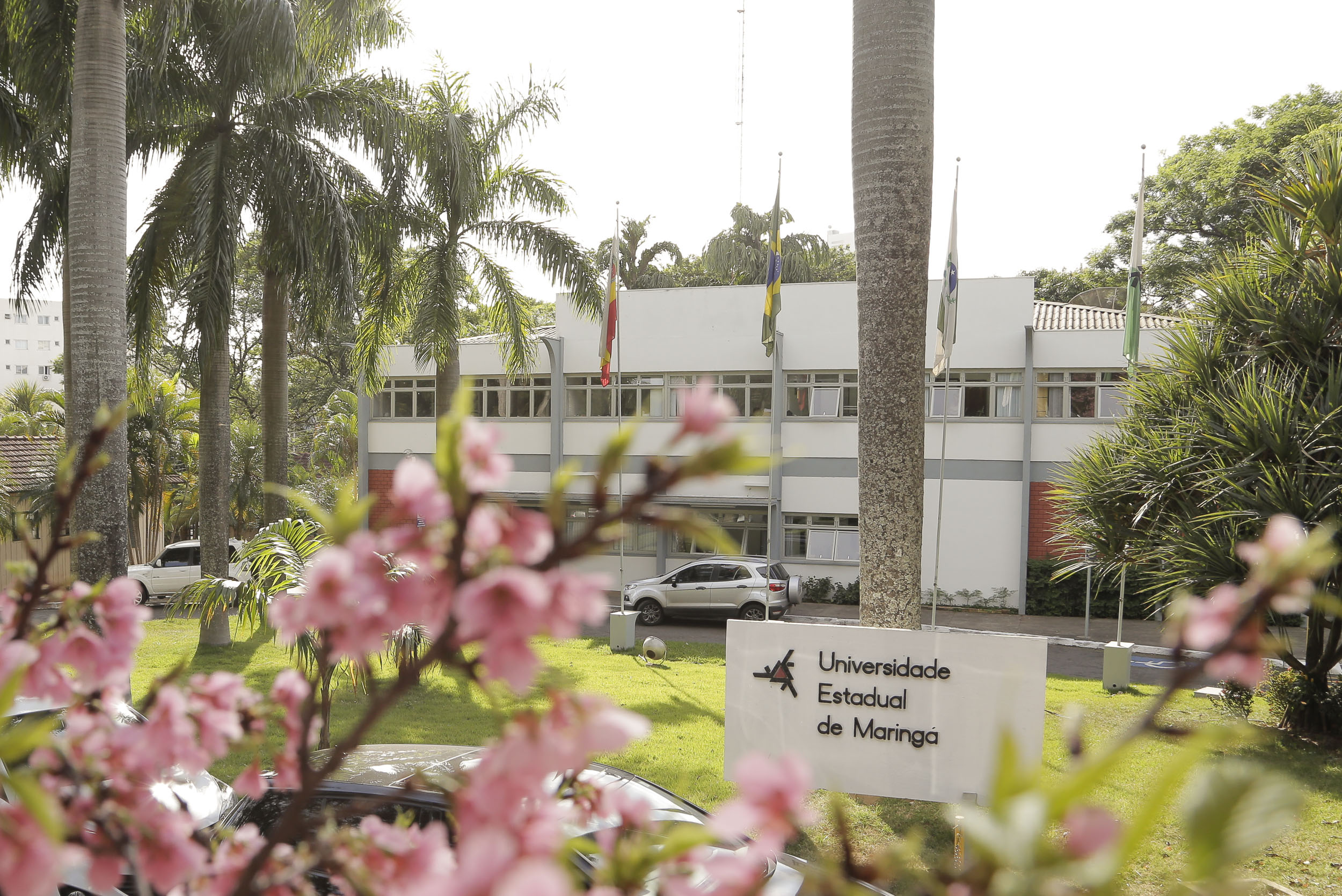 fachada reitoria uem 9