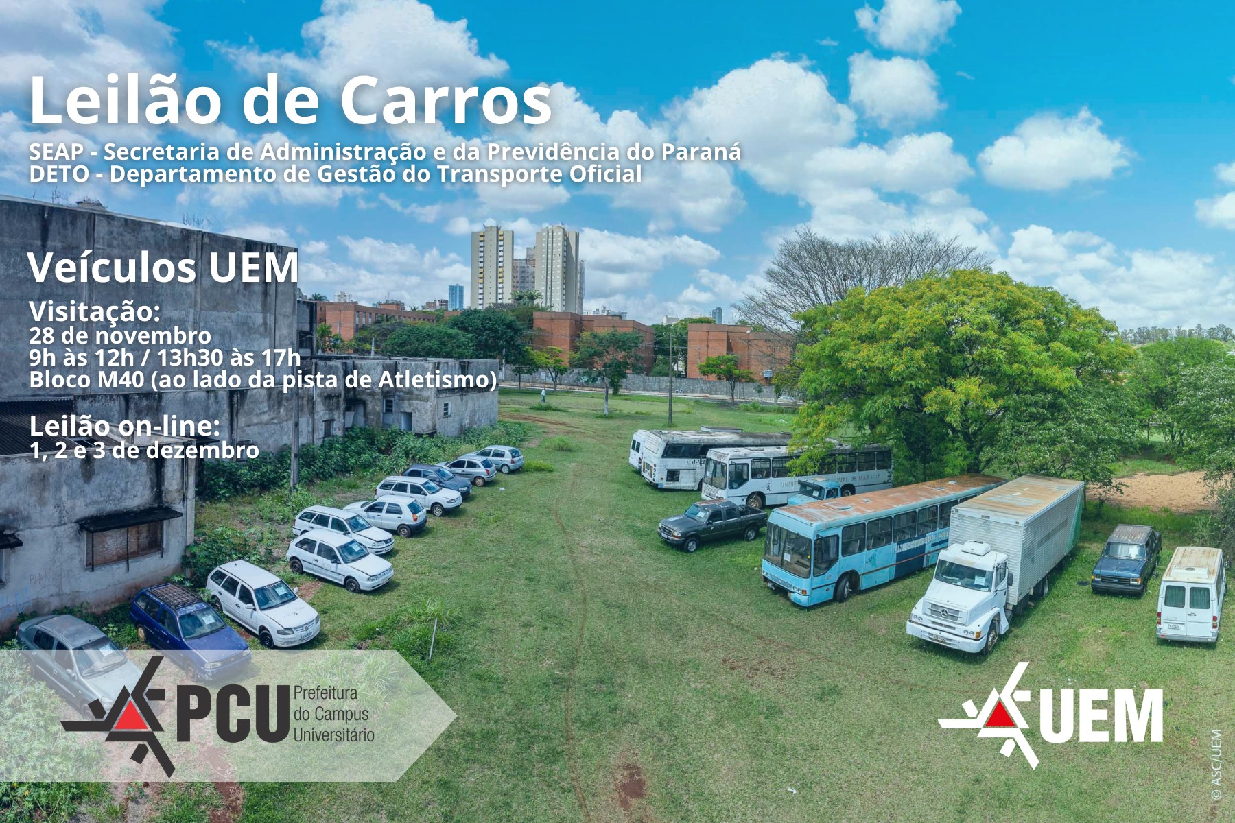 leiliao oficial 