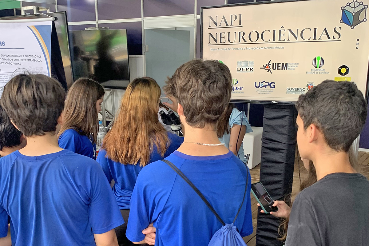 neurociencia img 1 1