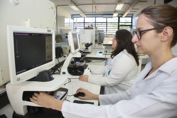 cienciaetecnologia-750x500