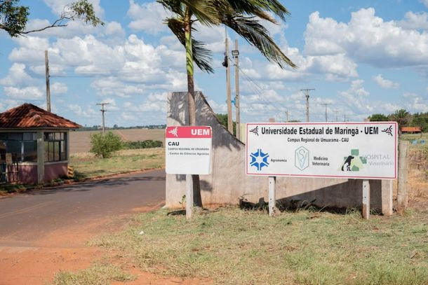 uem-lidera-no-parana-e-esta-entre-as-mais-sustentaveis-do-brasil-656f2ad198e53