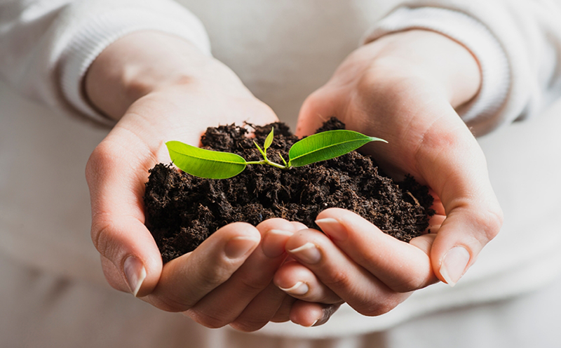 mestrado-em-sustentabilidade-ifpr-uem-abre-inscricoes-para-alunos-regulares