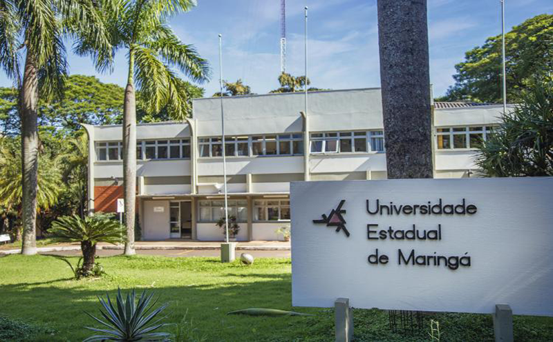 uem-publica-edital-para-contratacao-de-professores-temporarios-de-medicina