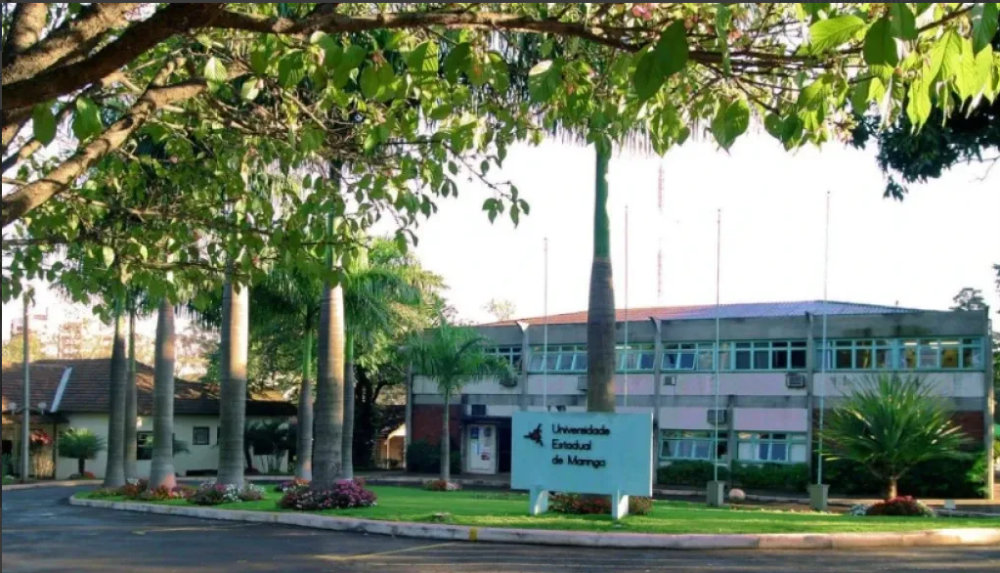 captura-de-tela-16